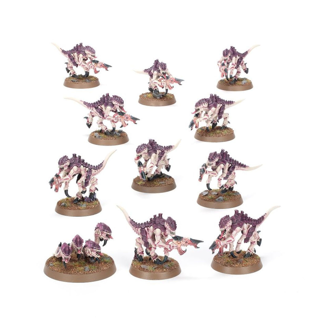 Warhammer Intoductory Set