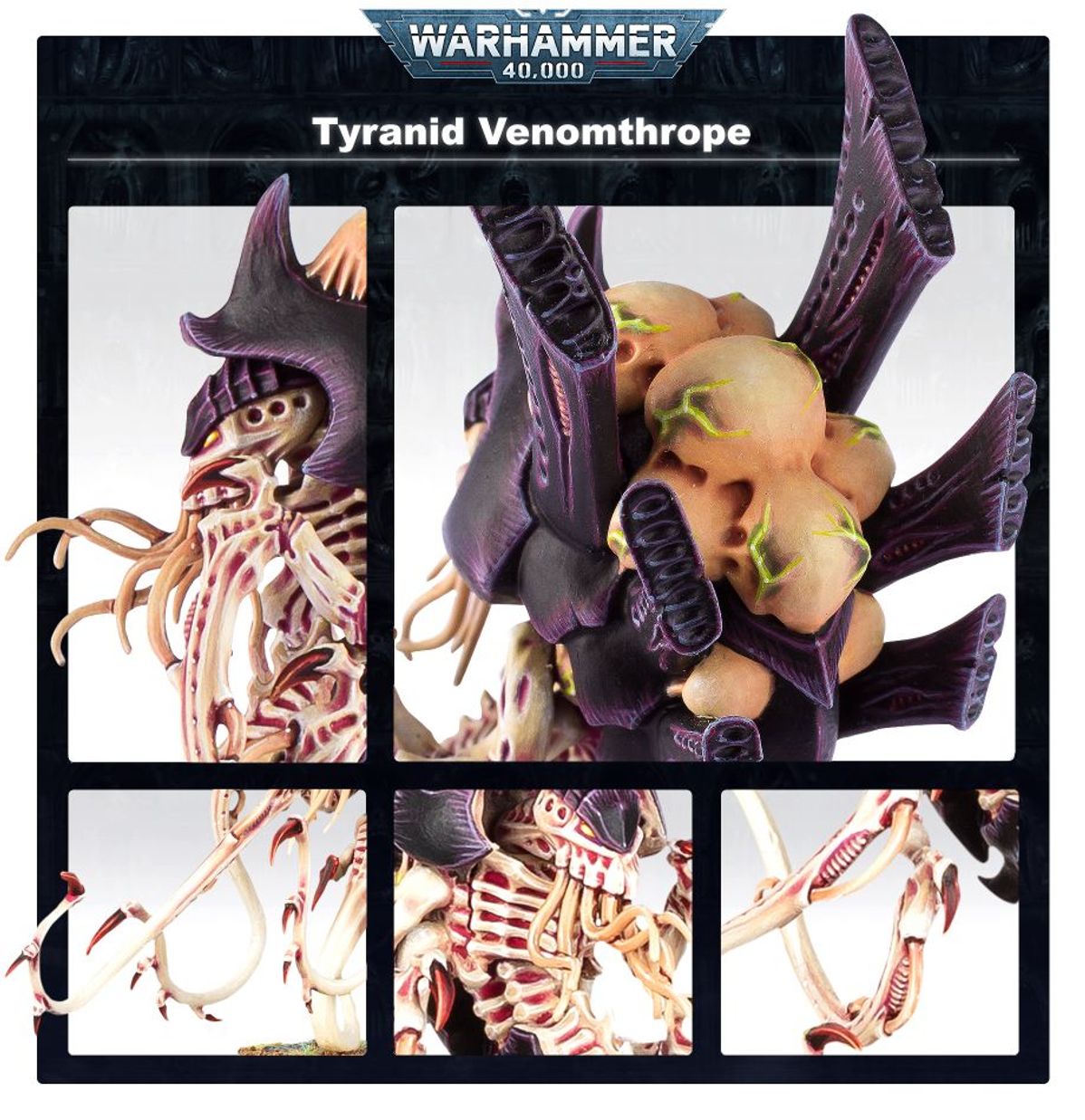 Venomthropes/Zoanthropes/Neurothropes