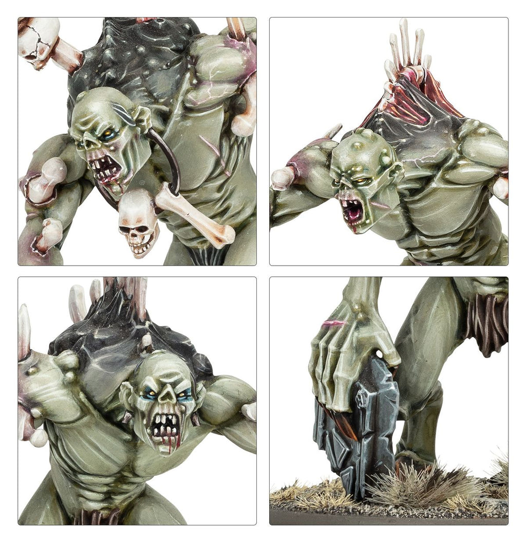 Flesh-eater Courts – Charnel Watch Spearhead